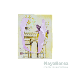 Пакет подарочный "Триумфальная арка", 14 х 6 х 11 см