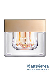 DR.REBORN Крем-эликсир с экзосомами и черной икрой EXOSOME BLACK CAVIAR 77 ELIXIR CREAM (50 мл)