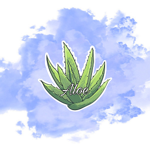 Алоэ и универсальные гели
